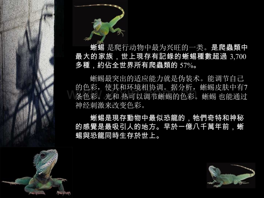 房地产策划案例雍景柏盛.pptx_第2页