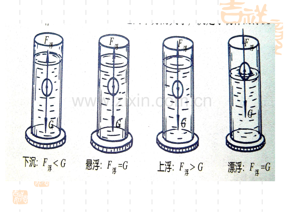 初二理化生浮沉条件应用.pptx_第2页