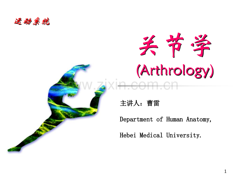 关节学肌学总论.pptx_第1页