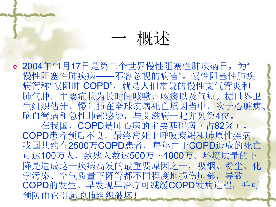 慢阻肺演示文稿.pptx_第2页