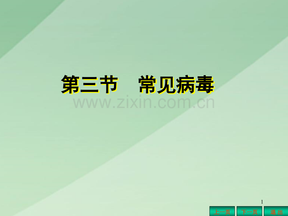 常见病毒.pptx_第1页