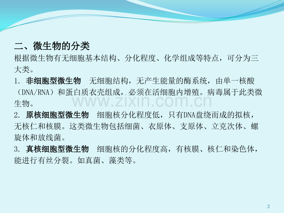微生物与洁净作业知识.pptx_第2页