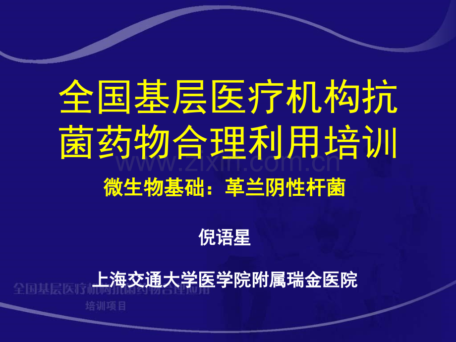 微生物基础革兰阴性杆菌.pptx_第1页