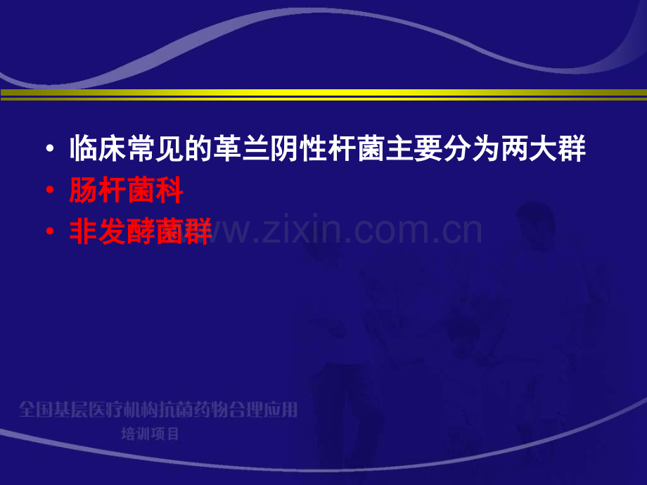 微生物基础革兰阴性杆菌.pptx_第2页