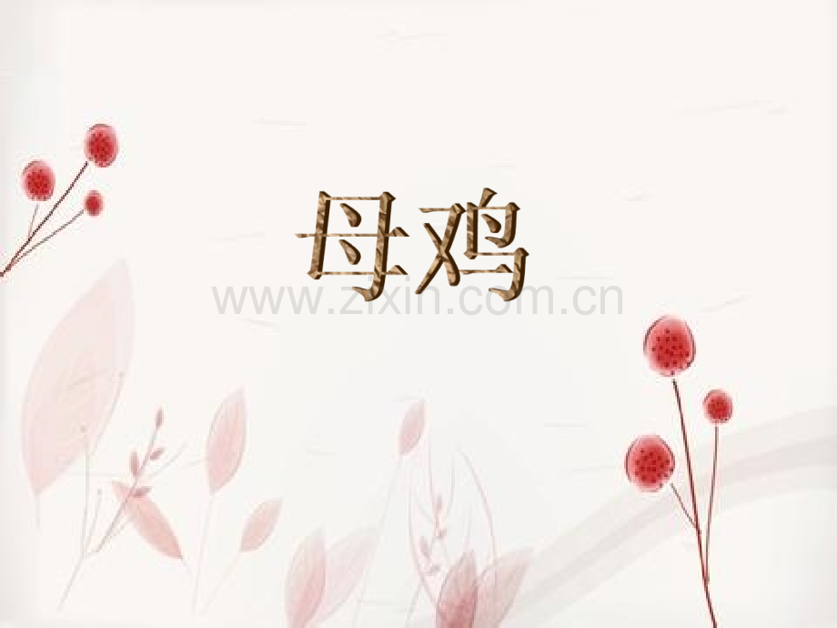 母鸡1.pptx_第2页
