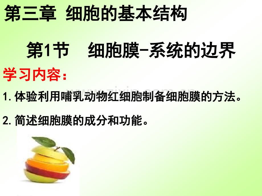 分子与细胞细胞膜.pptx_第2页