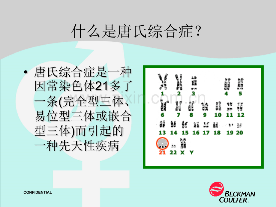 唐氏综合症的产前筛查.pptx_第2页