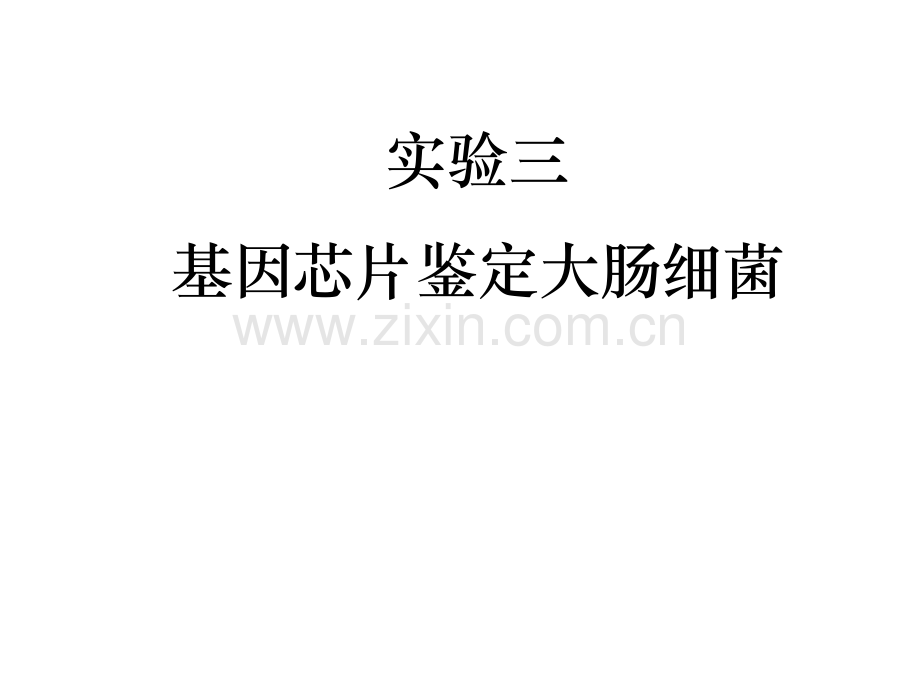 大肠细菌的基因芯片鉴定.pptx_第1页