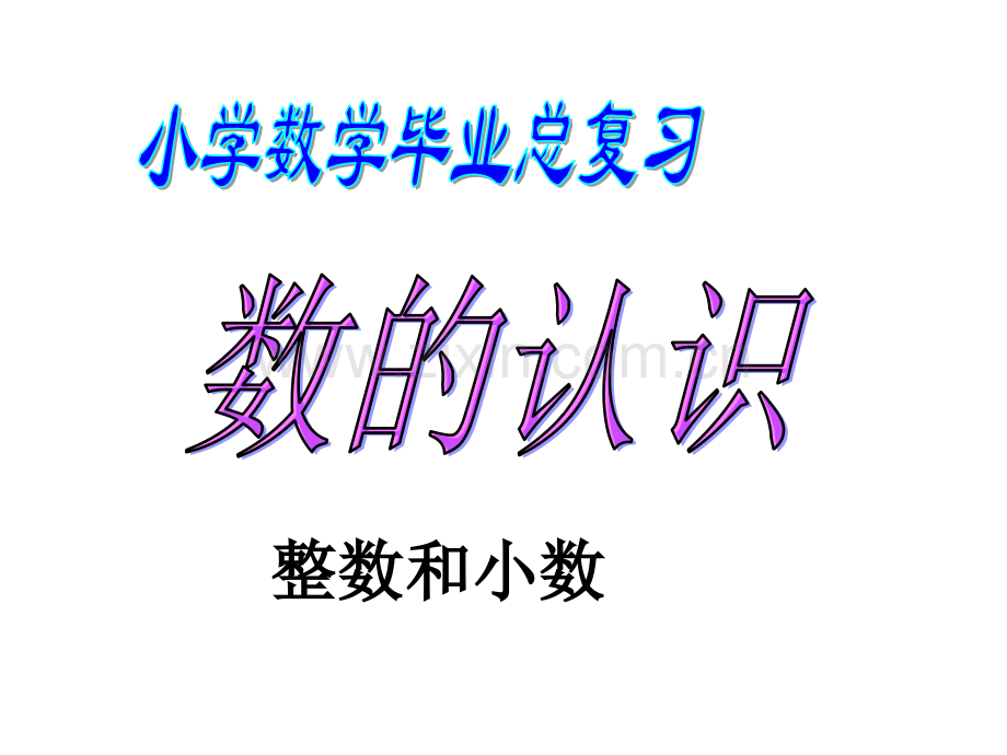 六年级数学总复习整数小数.pptx_第1页
