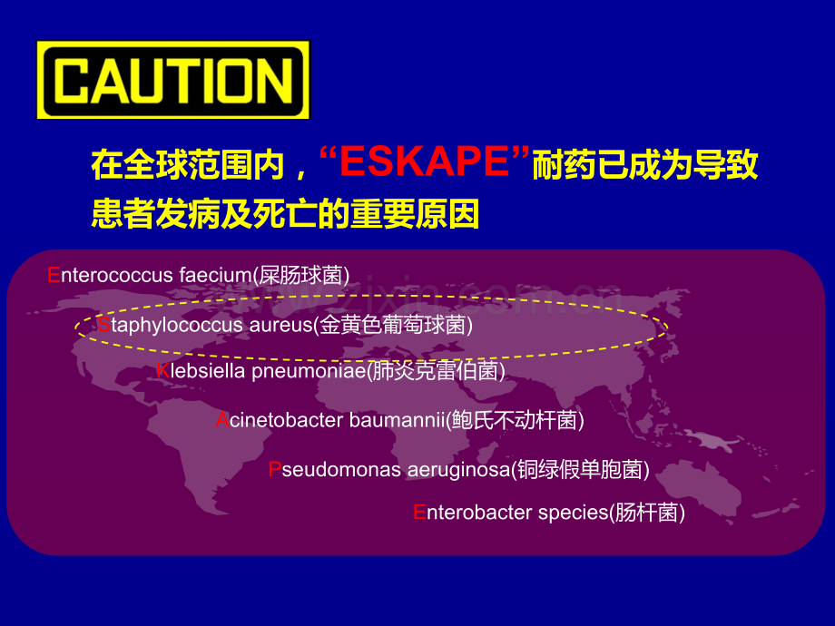 国内MRSA共识解读.pptx_第2页