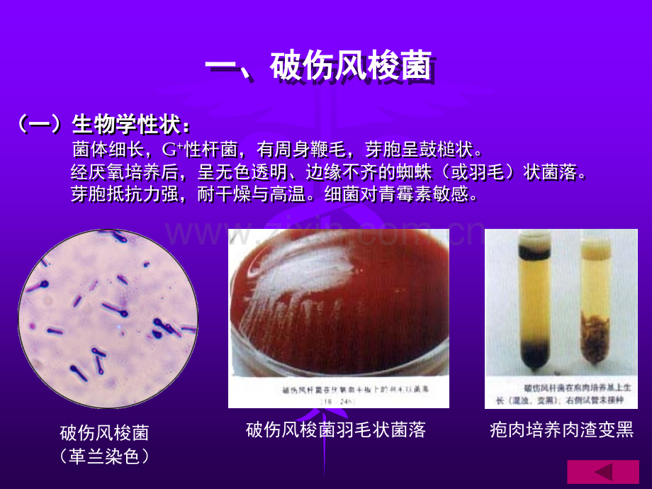 卫校讲稿课.pptx_第1页