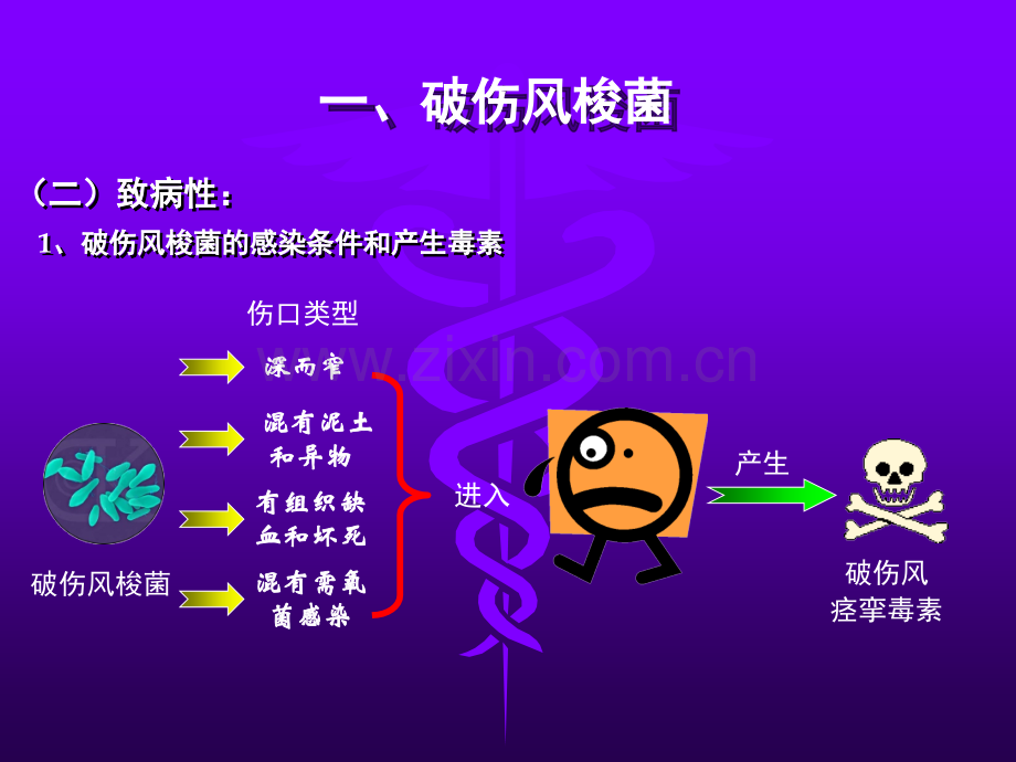 卫校讲稿课.pptx_第2页