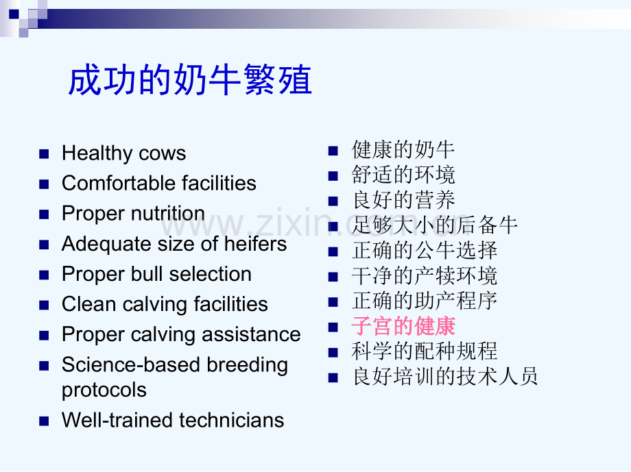 奶牛子宫净化.pptx_第2页
