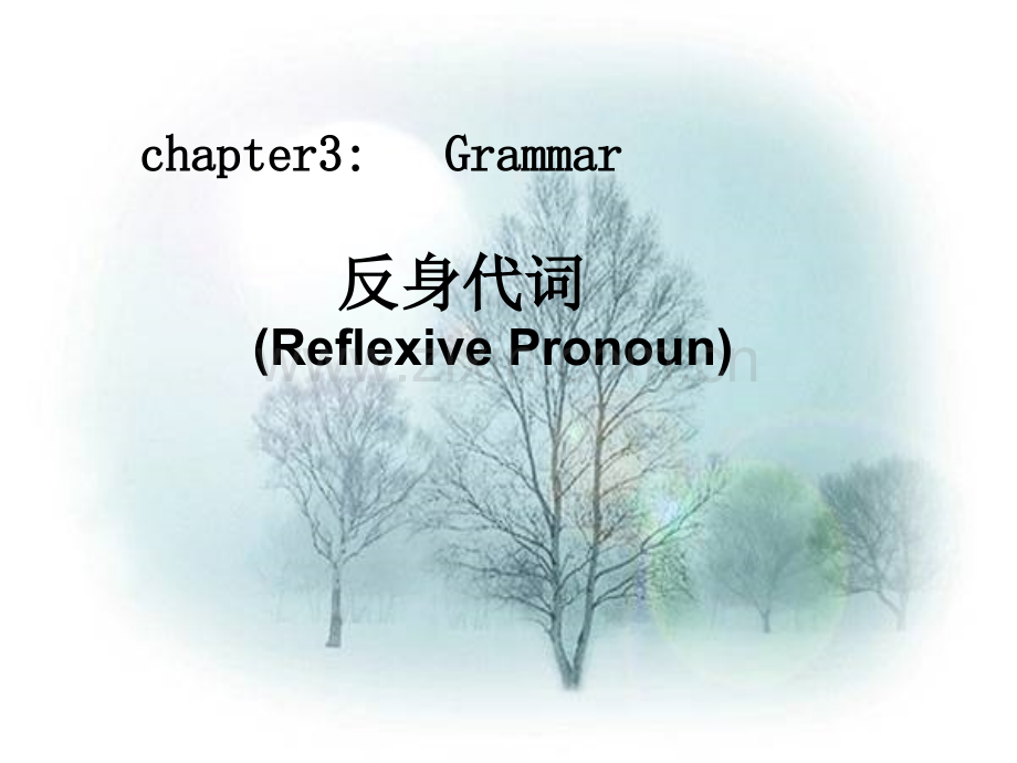 初中反身代词.pptx_第1页