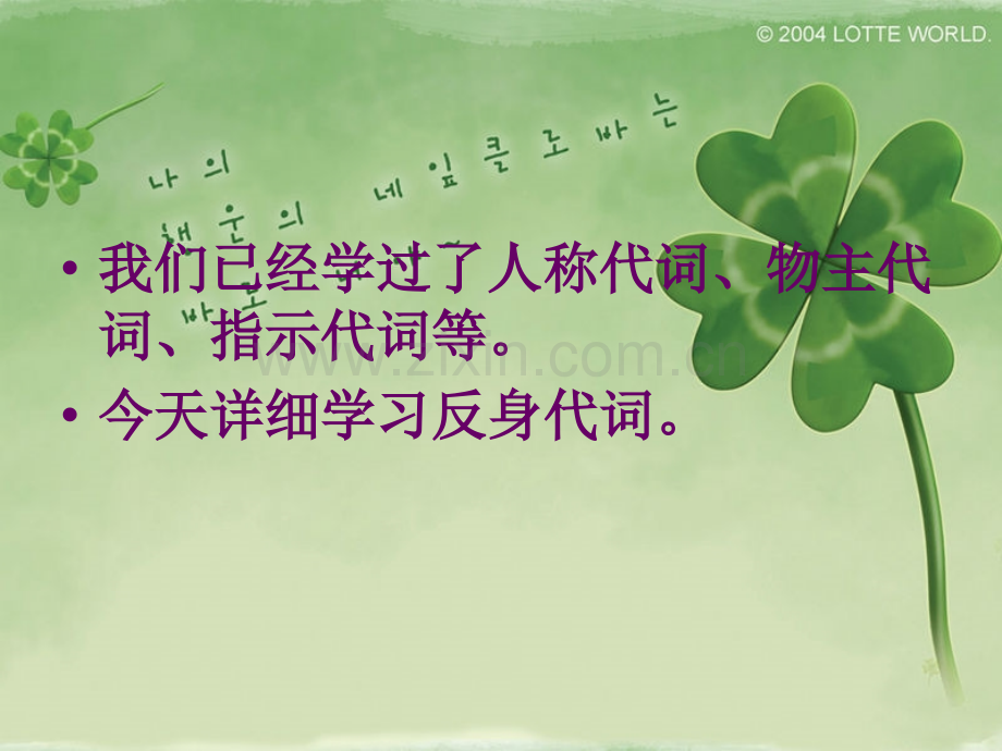 初中反身代词.pptx_第2页