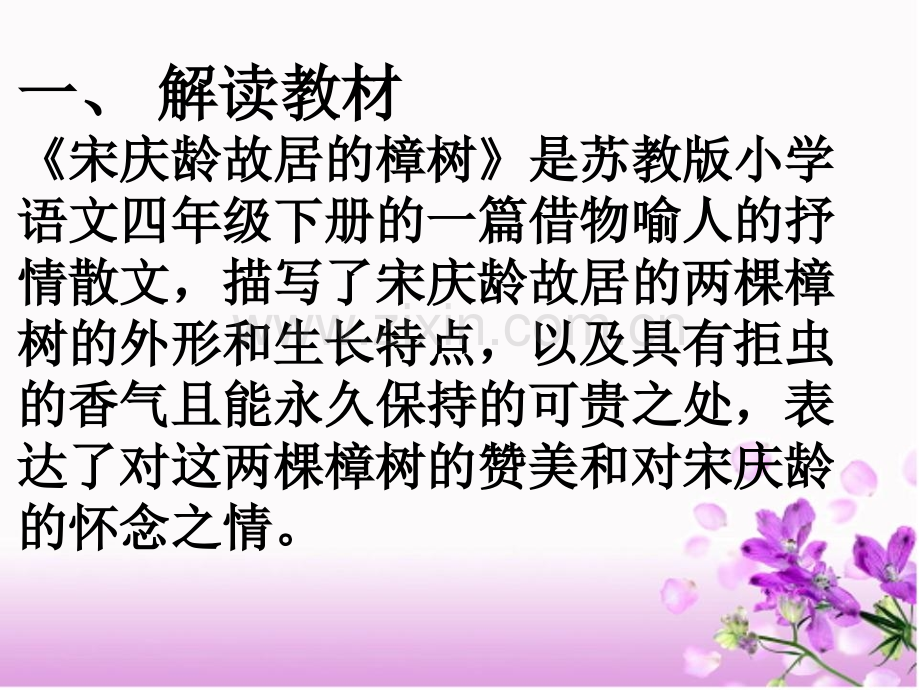 宋庆龄故居的樟树集体备课定稿.pptx_第2页