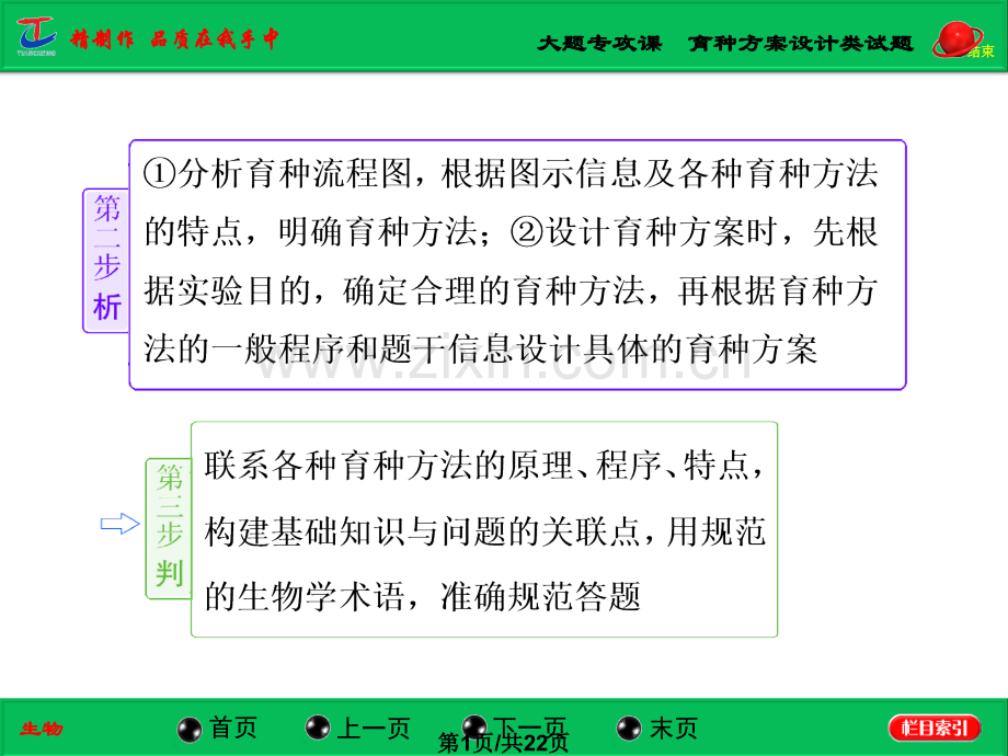 大题专攻育种方案设计类试题.pptx_第1页