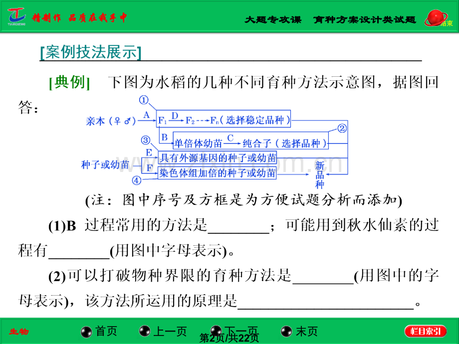 大题专攻育种方案设计类试题.pptx_第2页