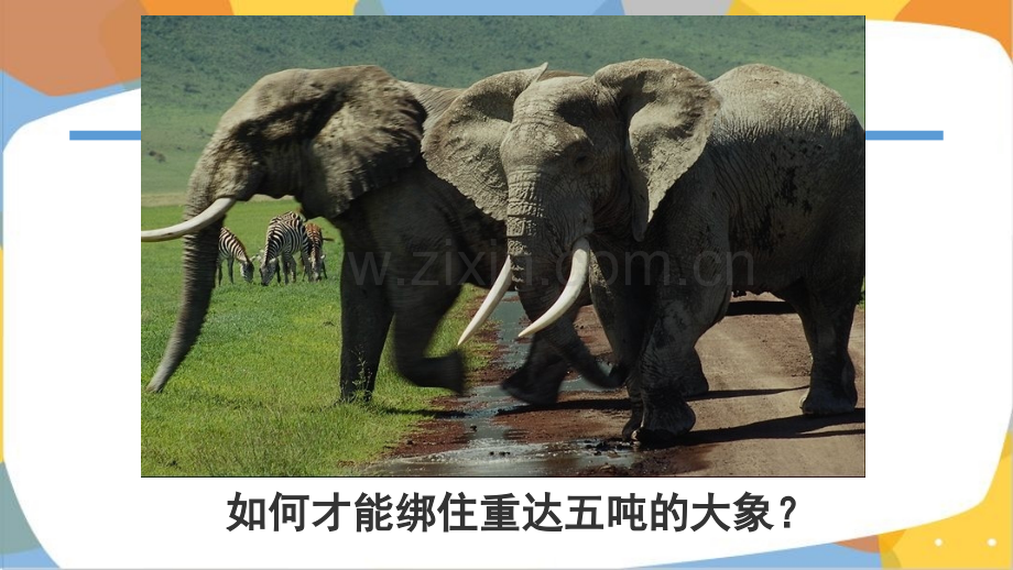 好习惯好人生主题班会.pptx_第2页