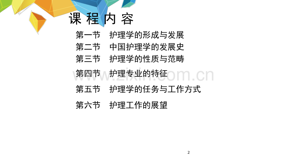 护理概论绪论.pptx_第2页