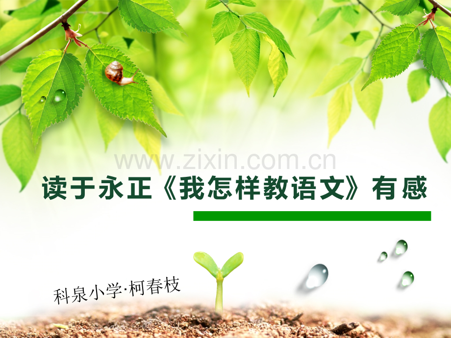 我怎样教语文读后感.pptx_第1页