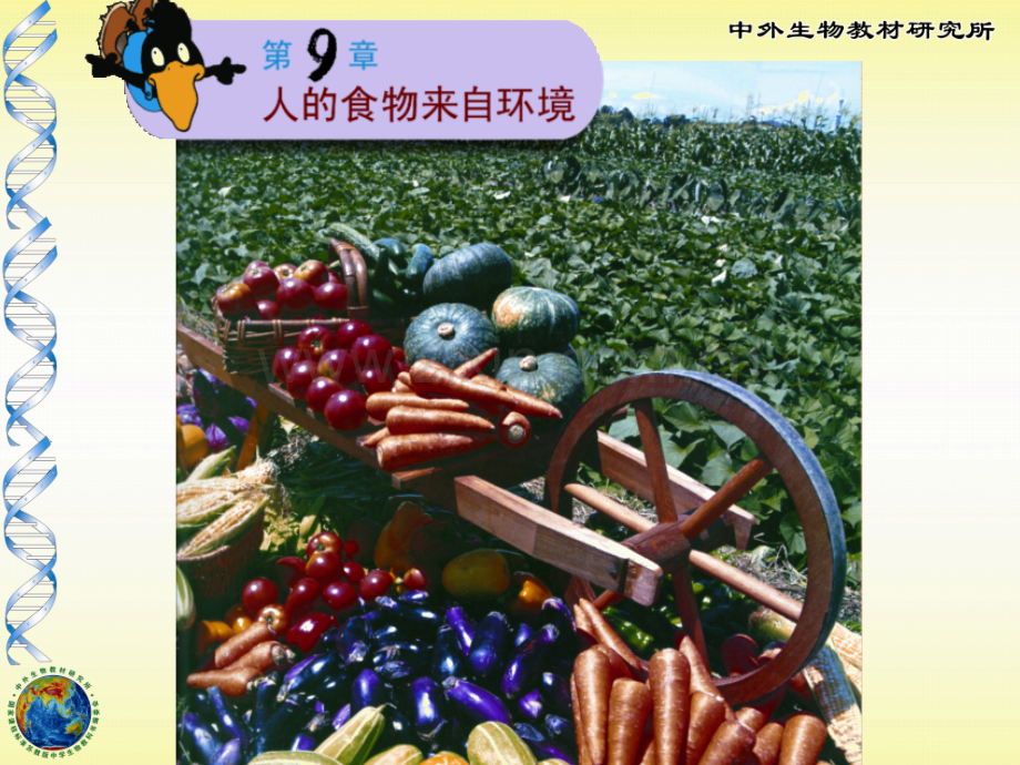 初中生物人体需要主要营养物质.pptx_第1页