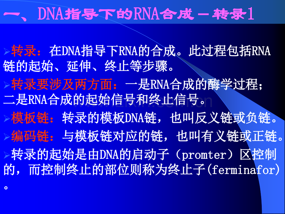 天津大学生物化学-45节.pptx_第2页