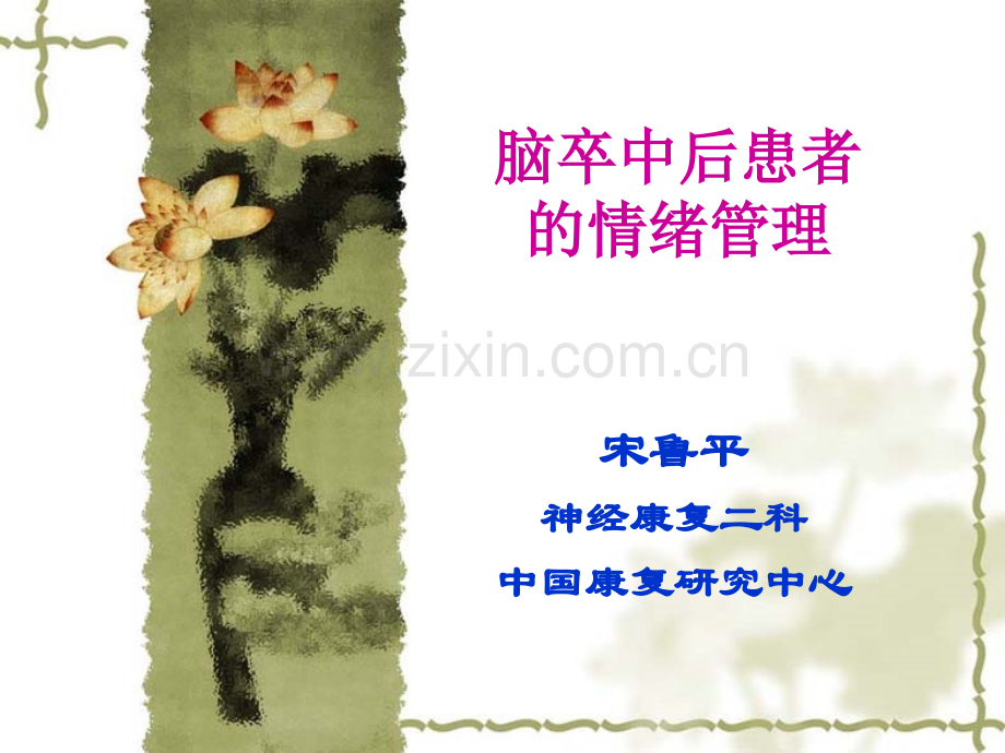 卒中病人的情绪管理.pptx_第1页