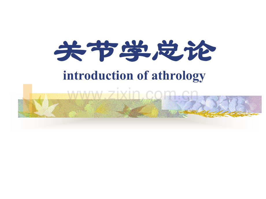 关节学总论以及躯干骨连接.pptx_第1页