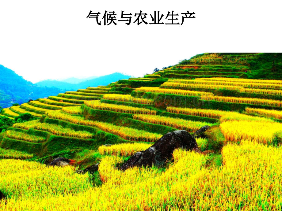 气候与农业公开课模板.pptx_第1页