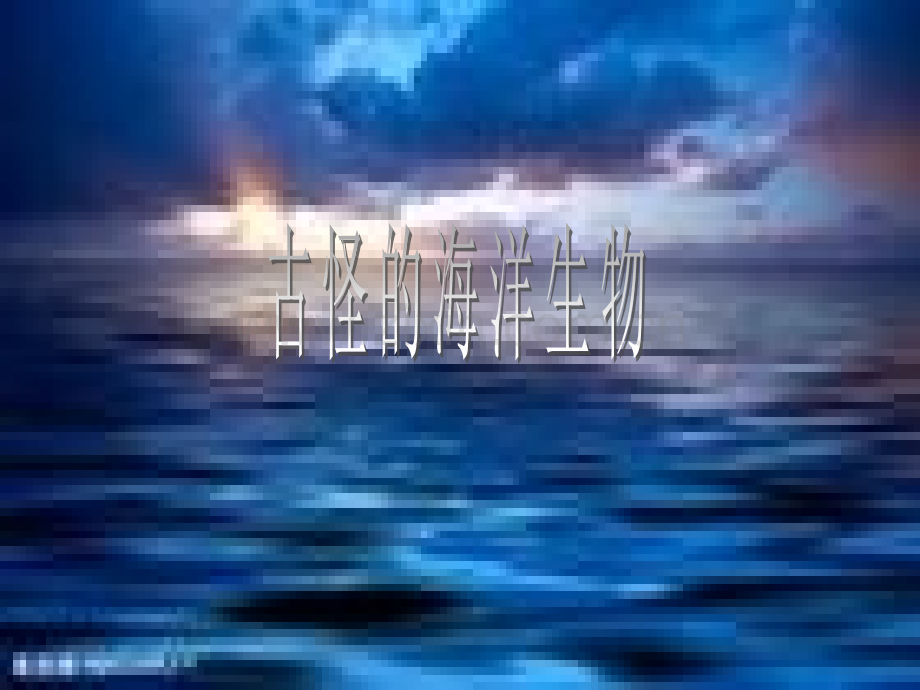 古怪的海洋动物.pptx_第1页