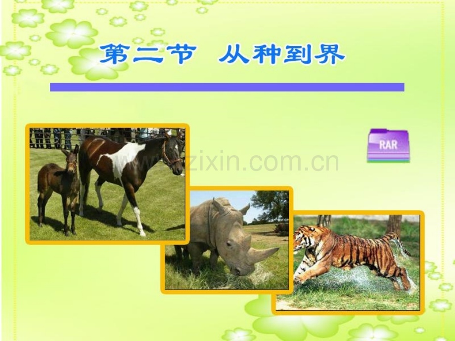 八年级从种到界.pptx_第1页