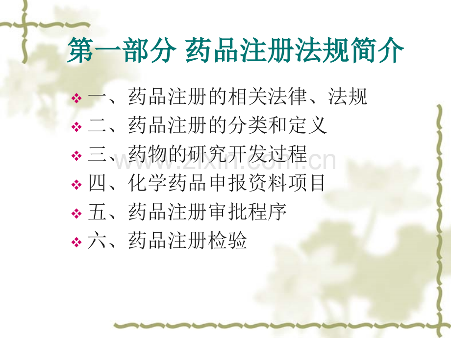 化学药品注册法规简介.pptx_第2页