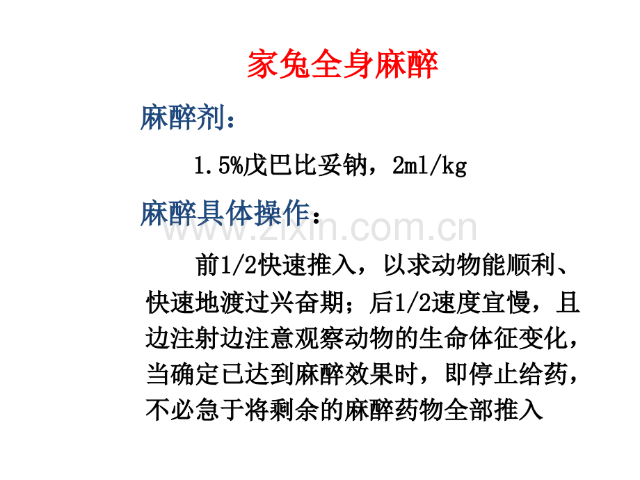 家兔的麻醉气管插管颈总动脉插管.pptx_第1页