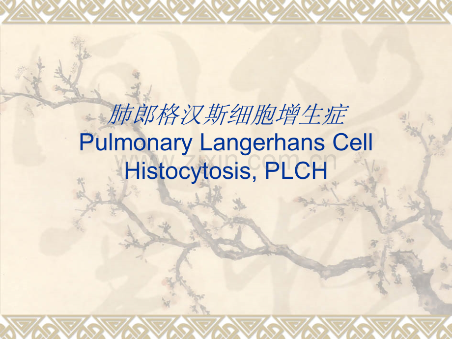 医学肺郎格罕细胞增生症.pptx_第1页