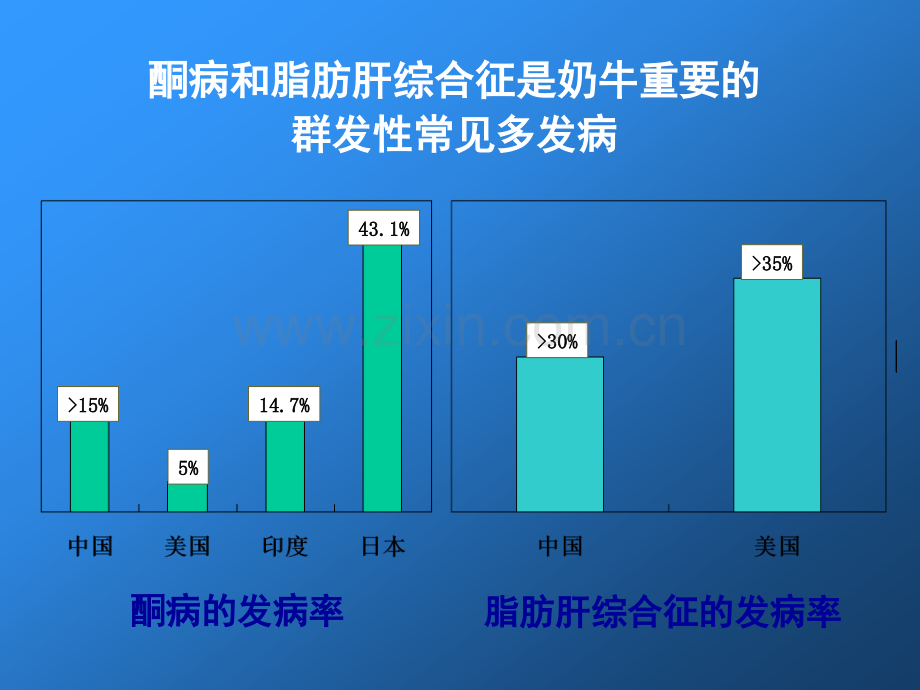 奶牛酮病和脂肪肝综合征.pptx_第2页