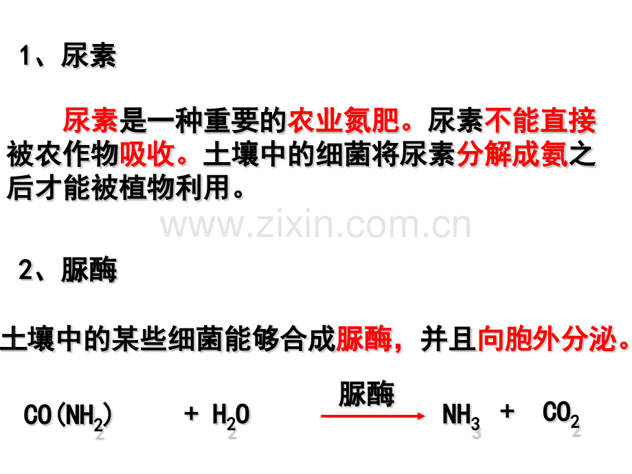 分离以尿素为氮源的微生物上课.pptx_第2页