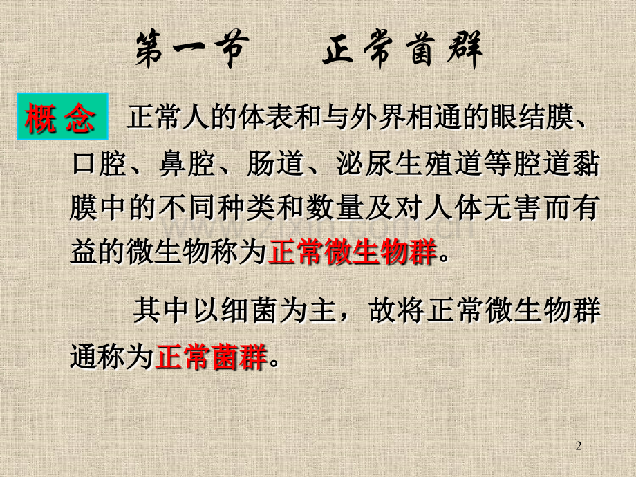 微生物学医学微生物学与医院内感染.pptx_第2页