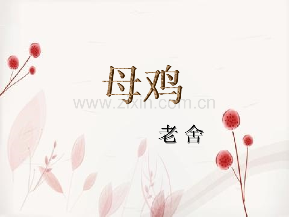母鸡.pptx_第2页