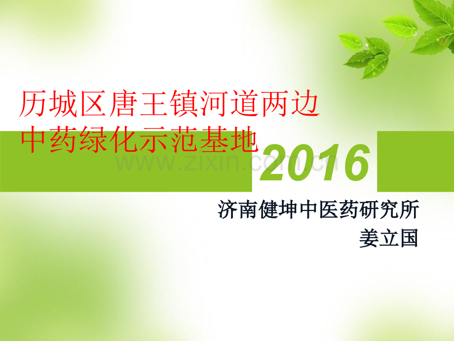 历城区唐王镇河道中药绿化示范基地.pptx_第1页