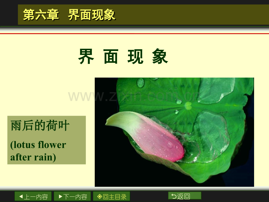 大学物理化学63界面现象.pptx_第1页