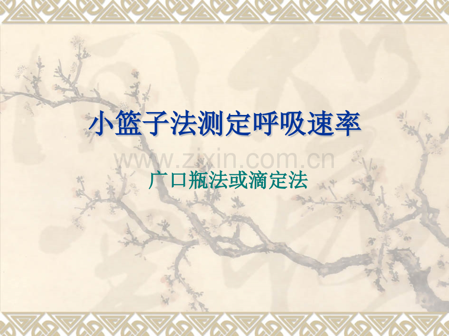 小篮子法测呼吸.pptx_第1页