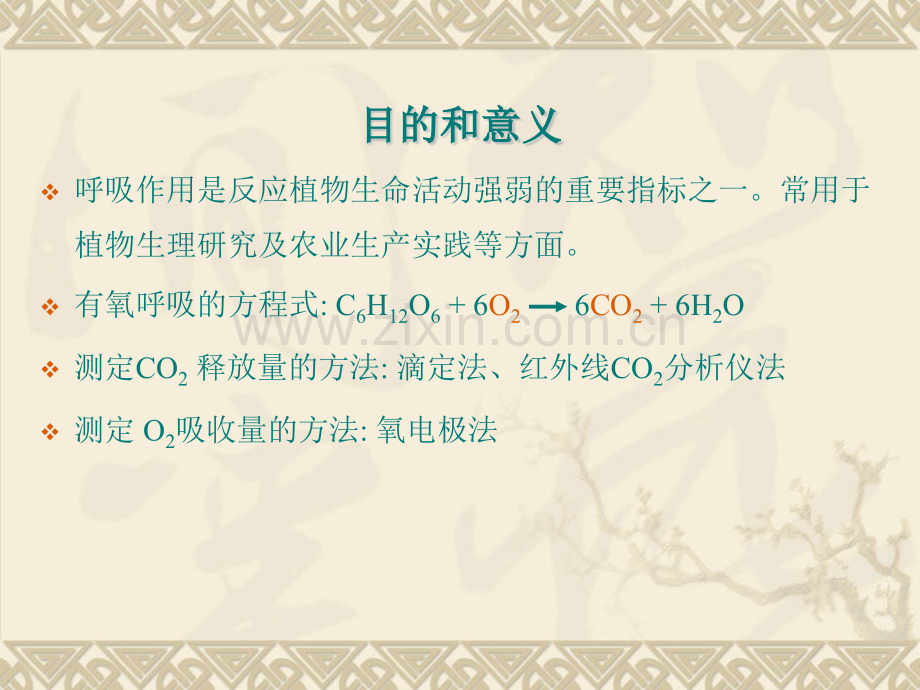 小篮子法测呼吸.pptx_第2页