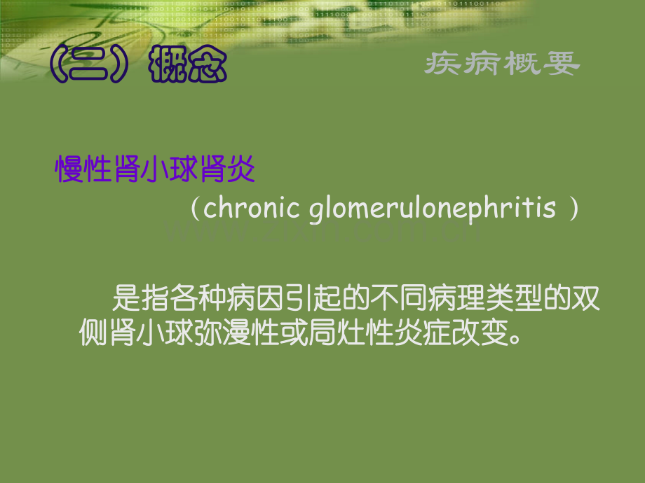 慢性肾小球肾炎护理.pptx_第2页