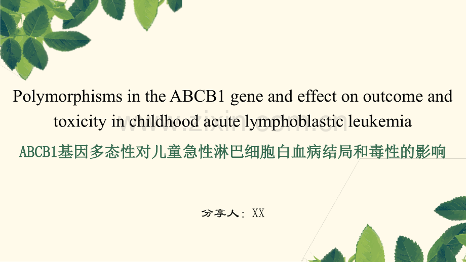 文献分享ABCB1基因多态性对儿童急性淋巴细胞白血病结局和毒性的影响.pptx_第1页