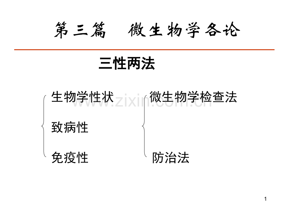 微生物学化脓性细菌.pptx_第1页
