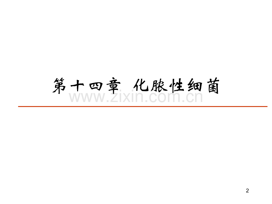 微生物学化脓性细菌.pptx_第2页