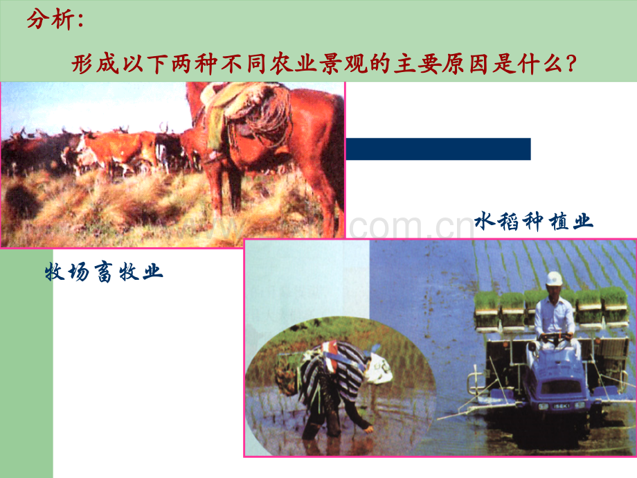 农业区位条件精.pptx_第2页