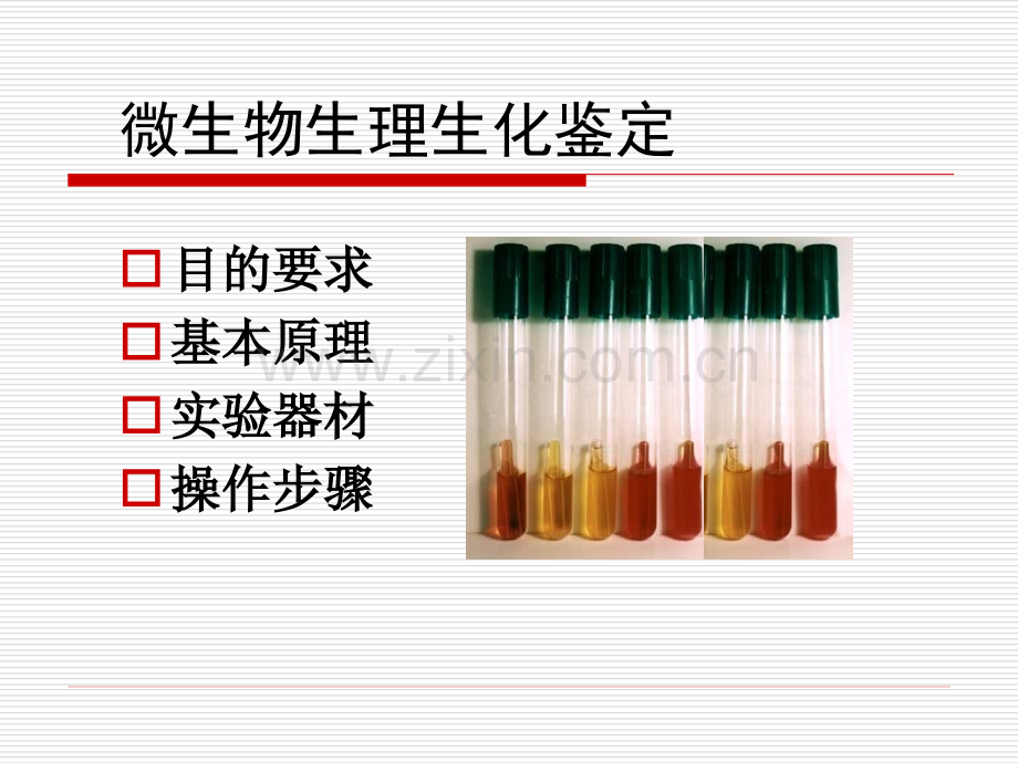 微生物生理生化鉴定.pptx_第1页