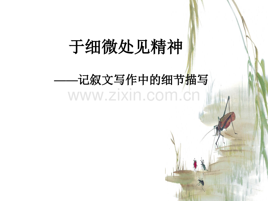 细节描写公开课获奖.pptx_第1页